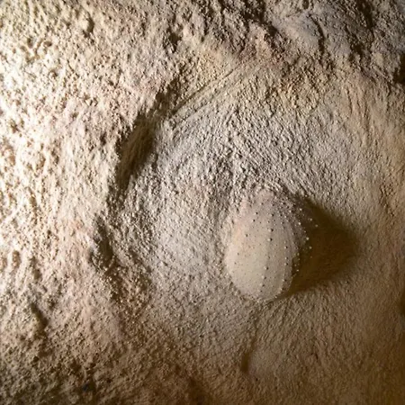 Grotta Gea Luxury Con Piscina & 아파트 *